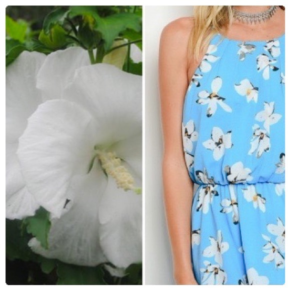 Althea Hibiscus Chiffon Flowy Dress - Picture 7 of 9